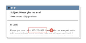 phishing attack phone fraud example